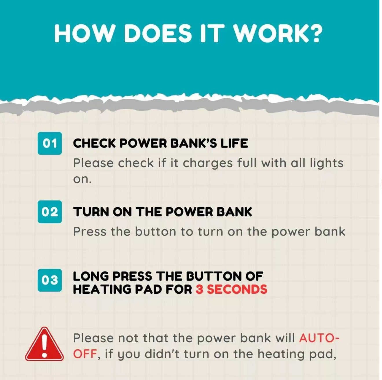 HeatFlex Back Massager